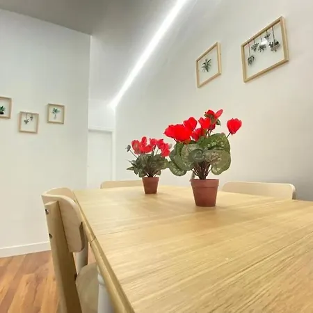 Karin Apartment